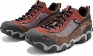 Oboz Firebrand II Mid BDry Best Hiking Shoes for the Grand Canyon